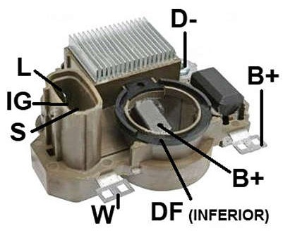 29502