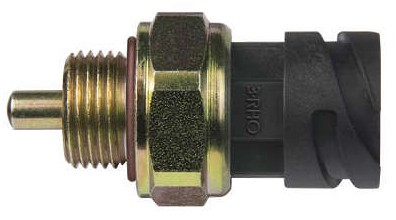 30557