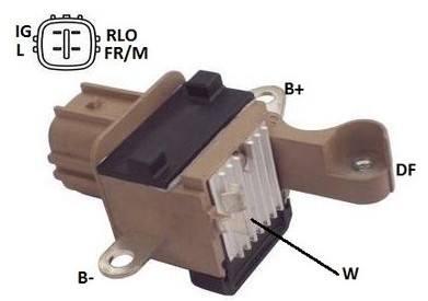 31691